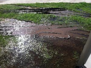 11011210_10206305123297285_705828341096149145_n