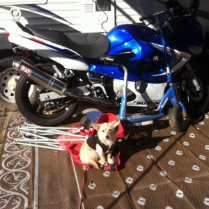 1891291_10203248033471950_590818404_n