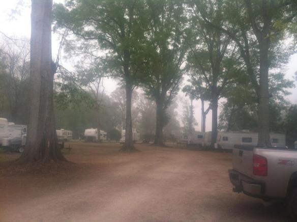 402598_10200745661714220_1472725843_n