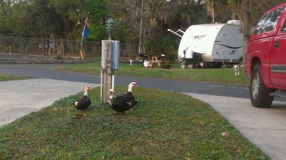 856620_10200487345496476_855920054_o