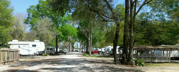 883224_10200725833858536_1931582887_o