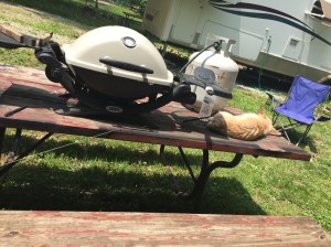 Charlie on the picnic table