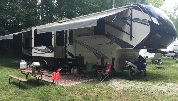 Flamingo in the yard