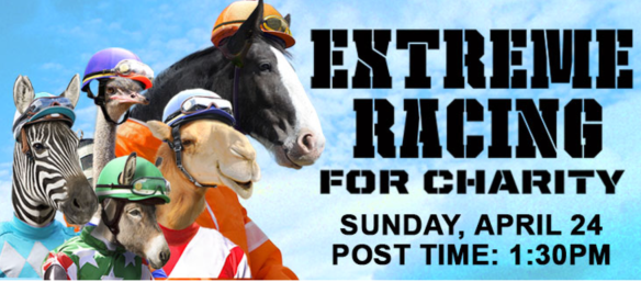 Screen Shot 2016-04-21 at 8.24.46 AM.png