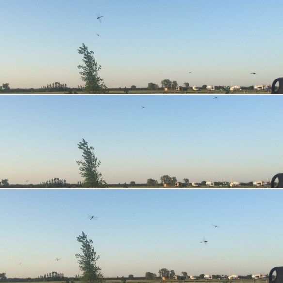 8647c673-7409-4ceb-84a1-a5a3a3b34418